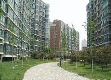 Ming Shida Jardí