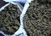 Excrements de rates mascle