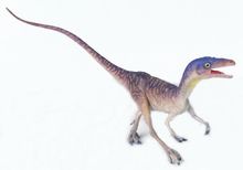 Tyrannosaurus rex