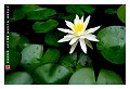 Shuilian