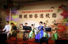 Sichuan dulcimer