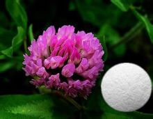 Biochanin A
