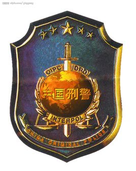 Policia Criminal