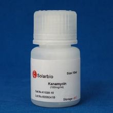 Kanamicina B