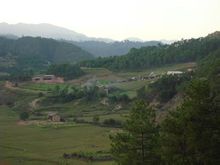 Feng Village