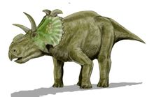 Ceratopsian l'Amor