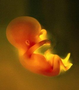 Profunditat del fluid amniòtic