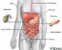 Antral