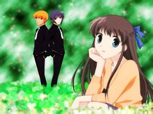 Fruits Basket: pintura còmica Natsuki Takaya