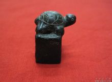 Turtle Zelanda