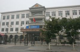 Tianjin IRS