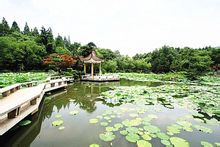 HKUST