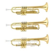Instruments de vent