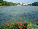 Avon Park