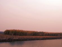 Guangang Forest Park