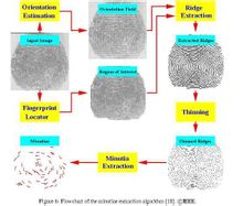 Empremta dactilar