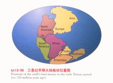 Triàsic