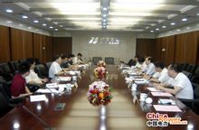 Consell d'Electricitat de la Xina
