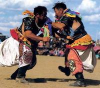 Lluita mongol